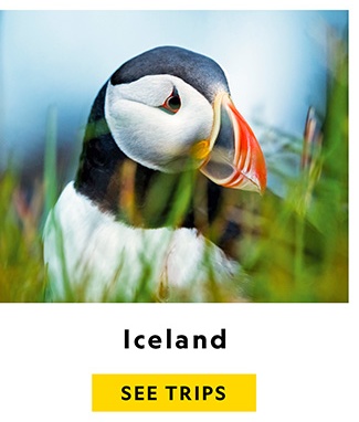 ICELAND