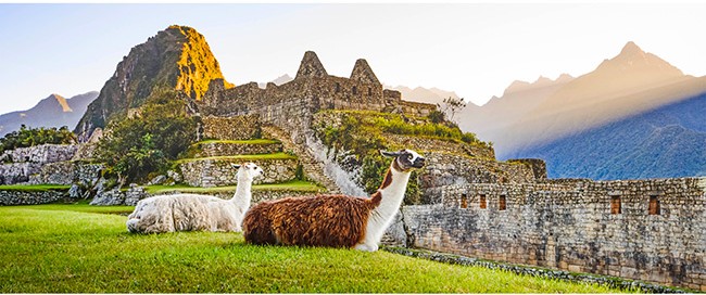PERU AND GALAPAGOS ESCAPE / 12 DAYS