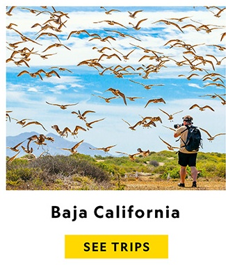 BAJA CALIFORNIA