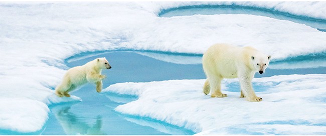 NORTHWEST PASSAGE: GREENLAND TO ALASKA / 23 DAYS