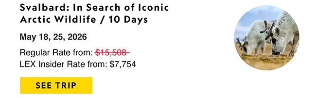 Svalbard: In Search of Iconic Arctic Wildlife / 10 Days