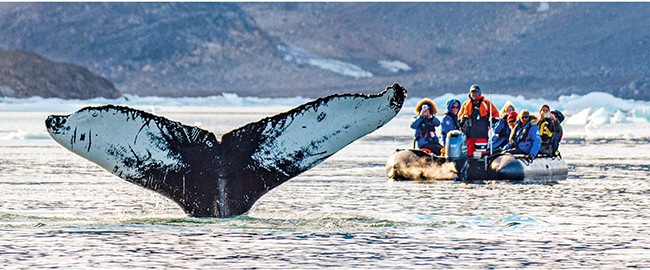 EXPLORE ALL ICELAND AND GREENLAND VOYAGES