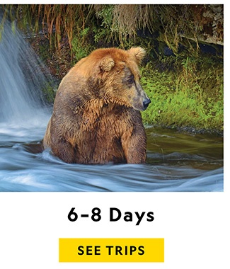 6-8 DAYS