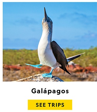 GALAPAGOS