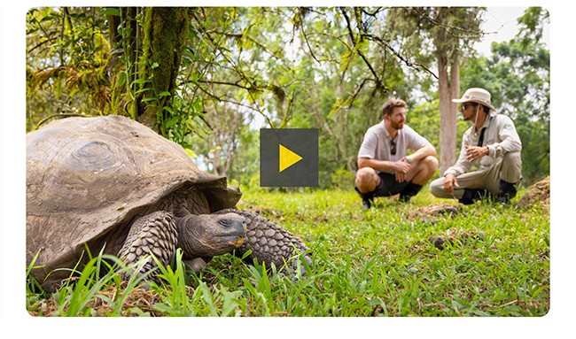 DISCOVER GALAPAGOS WITH THOSE WHO KNOW IT BEST