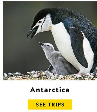 ANTARCTICA