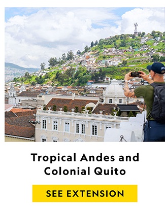 TROPICAL ANDES AND COLONIAL QUITO