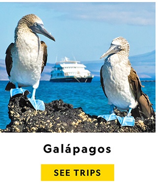 GALAPAGOS