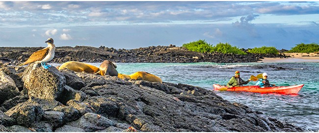 GALAPAGOS ESCAPE / 7 OR 8 DAYS 