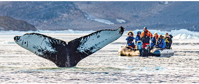 SOUTHEAST GREENLAND: EXPLORING AT THE EDGE OF THE ICE CAP / 10 DAYS