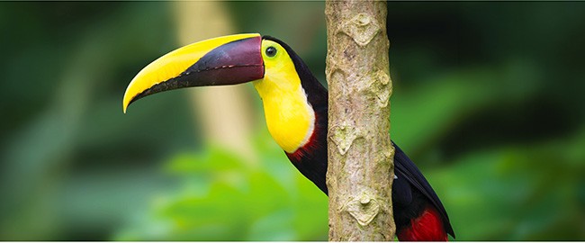 DESTINATION SPOTLIGHT: CENTRAL AMERICA