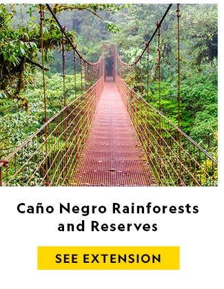 CANO NEGRO RAINFORESTS AND RESERVES