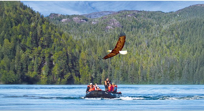 DISCOVER BIRDS AROUND THE WORLD