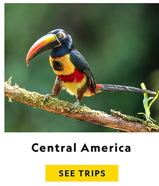 CENTRAL AMERICA